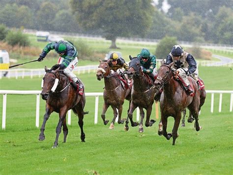 results from cheltenham